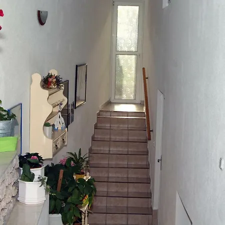 Apartment Ruzica *